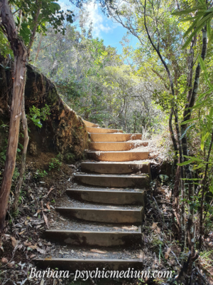 What is a Higher Self? Trusting your inner wisdom. Barbara Psychic Medium