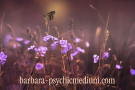 Signs you are a highly sensitive person (HSP)