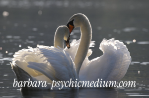 Online psychic reading for twin flame love 2026 – Barbara Psychic Medium 