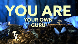 You are your own guru